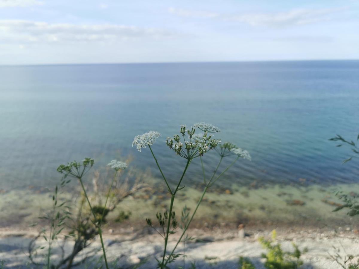 Nordic Bo -Wellen Wald Und Wilde Kueste- Strandnahe Doppelhaushaelfte Mit Waldterrasse Surendorf Exteriér fotografie