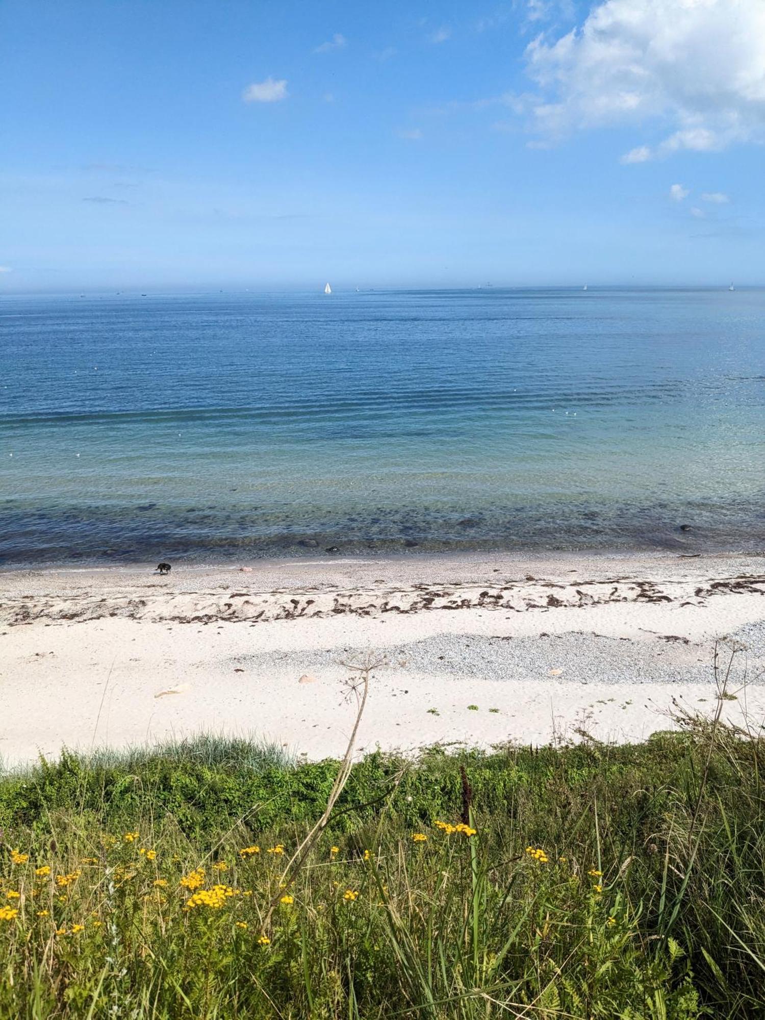 Nordic Bo -Wellen Wald Und Wilde Kueste- Strandnahe Doppelhaushaelfte Mit Waldterrasse Surendorf Exteriér fotografie
