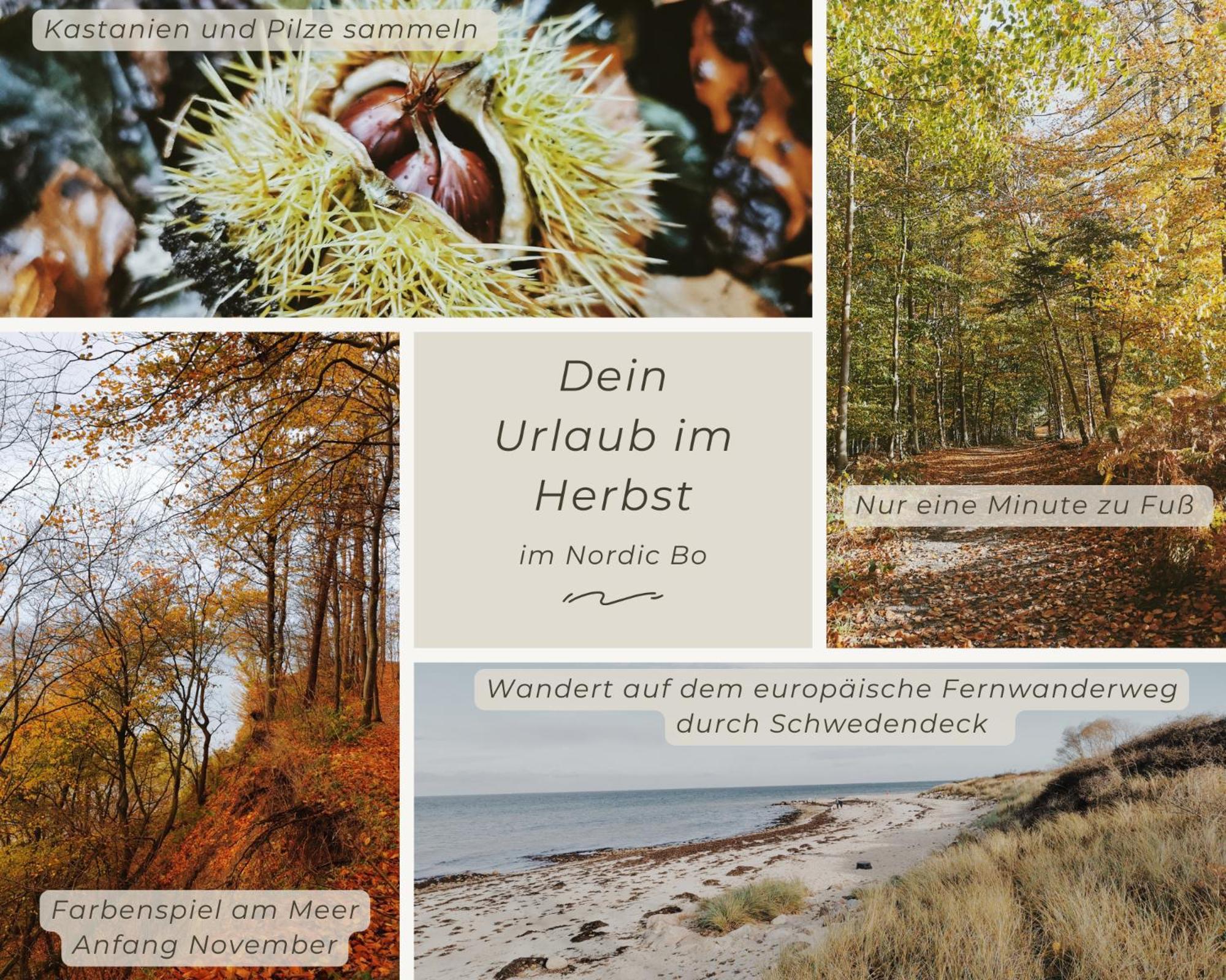 Nordic Bo -Wellen Wald Und Wilde Kueste- Strandnahe Doppelhaushaelfte Mit Waldterrasse Surendorf Exteriér fotografie
